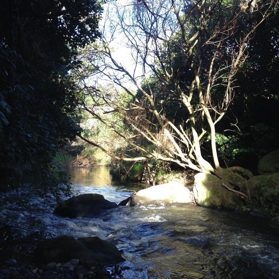 Punehu Stream Cottage Opunake Buitenkant foto